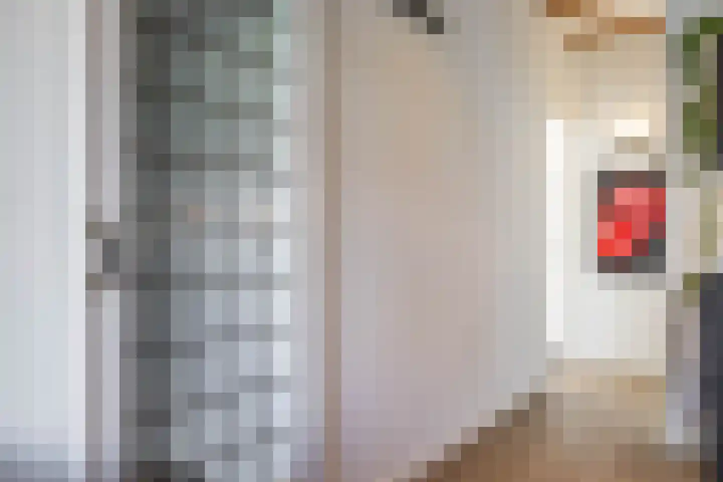 Van Panhuysstraat 15 a Groningen thumbnail 32