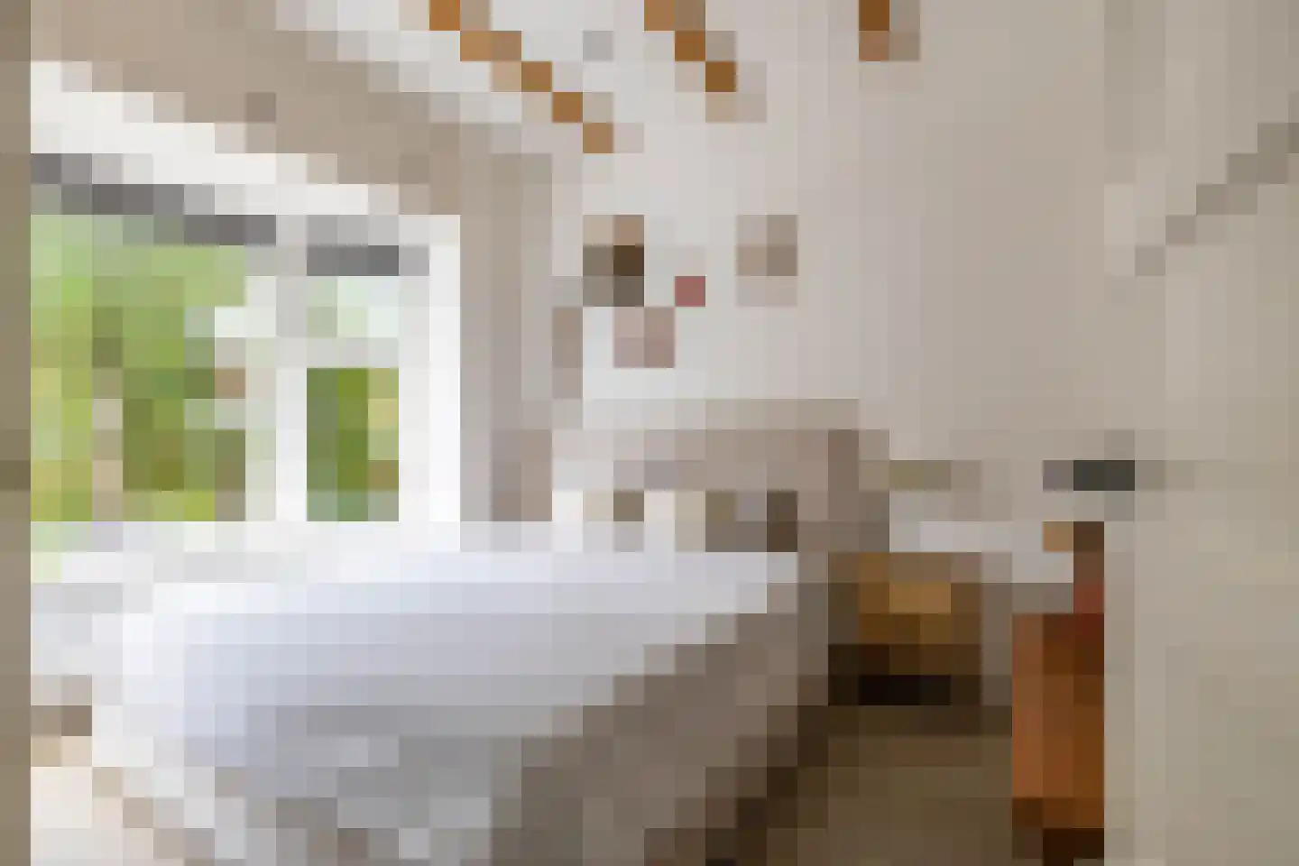 Van Panhuysstraat 15 a Groningen thumbnail 34