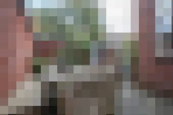 Van Panhuysstraat 23 Groningen thumbnail 37