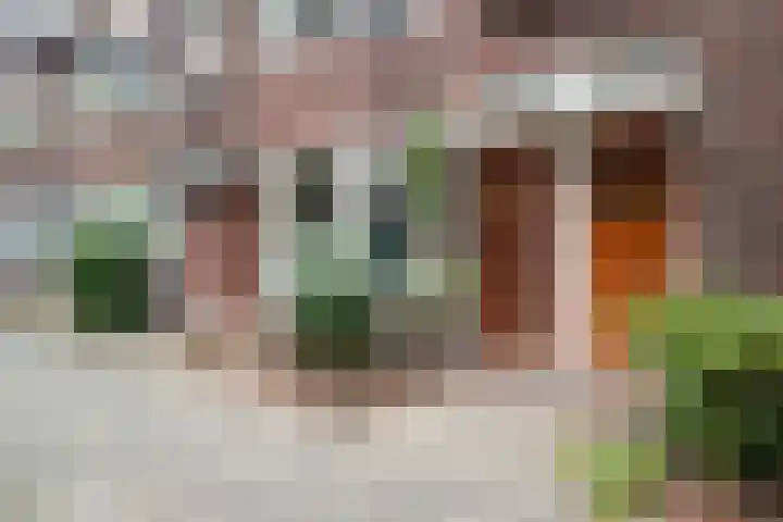Van Panhuysstraat 23 Groningen thumbnail 6