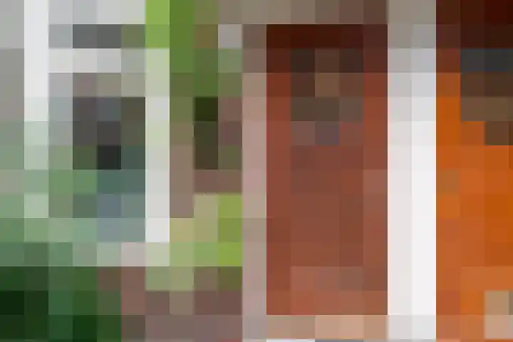 Van Panhuysstraat 23 Groningen thumbnail 9