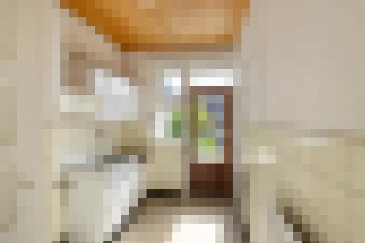 Van Panhuysstraat 24 a Groningen thumbnail 14
