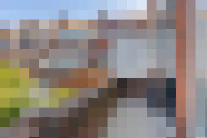 Van Panhuysstraat 3 a Groningen thumbnail 30