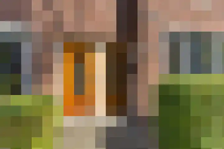 Van Panhuysstraat 3 a Groningen thumbnail 5