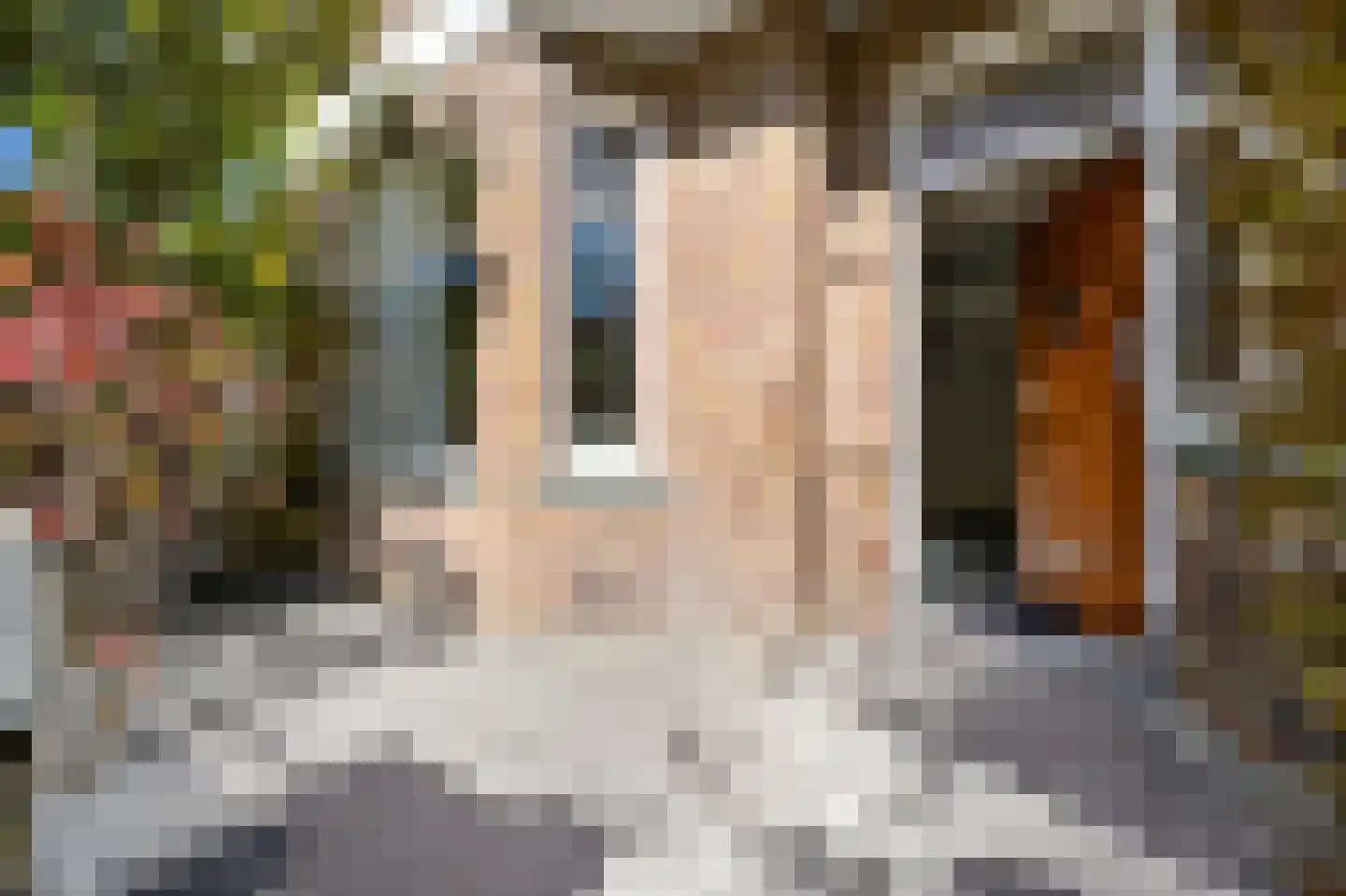 Van Panhuysstraat 9 Den Haag thumbnail 8