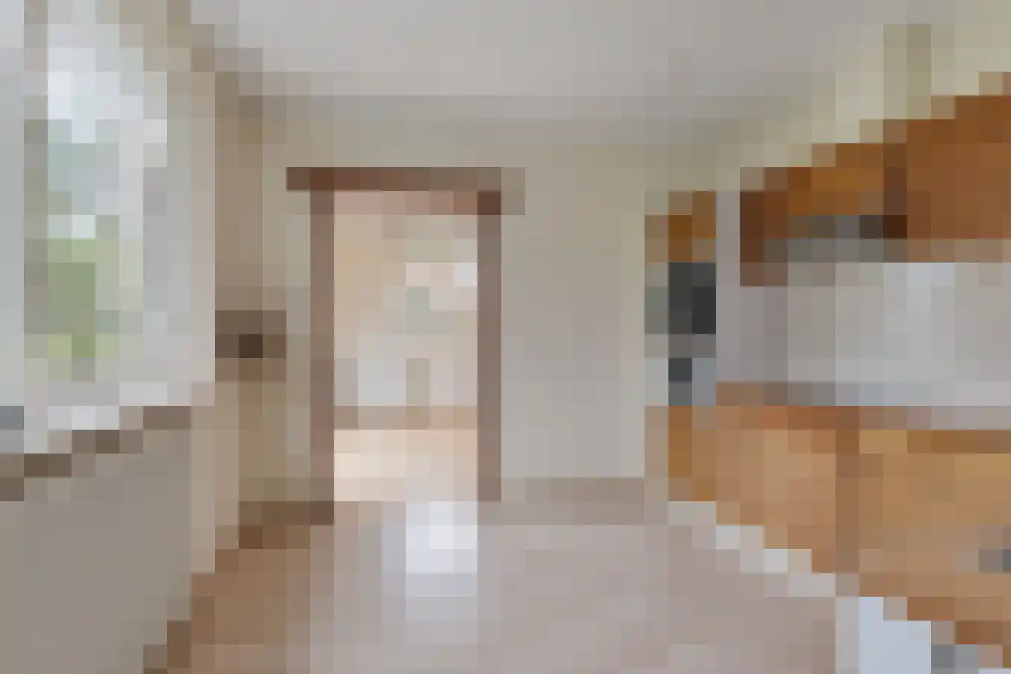 van Panhuysweg 1 B Tjerkwerd thumbnail 11