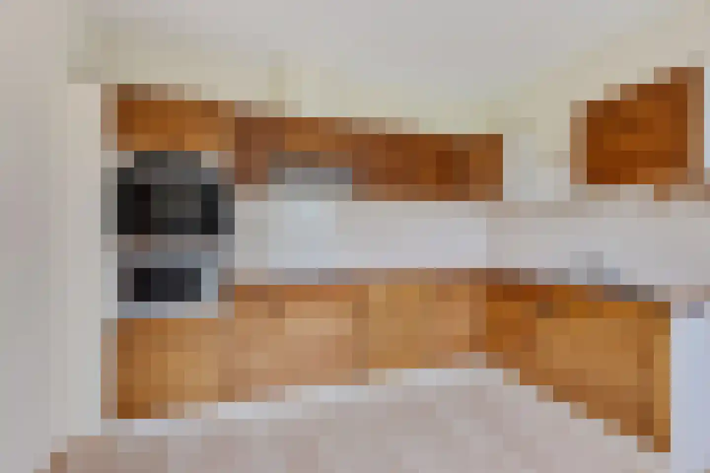 van Panhuysweg 1 B Tjerkwerd thumbnail 12