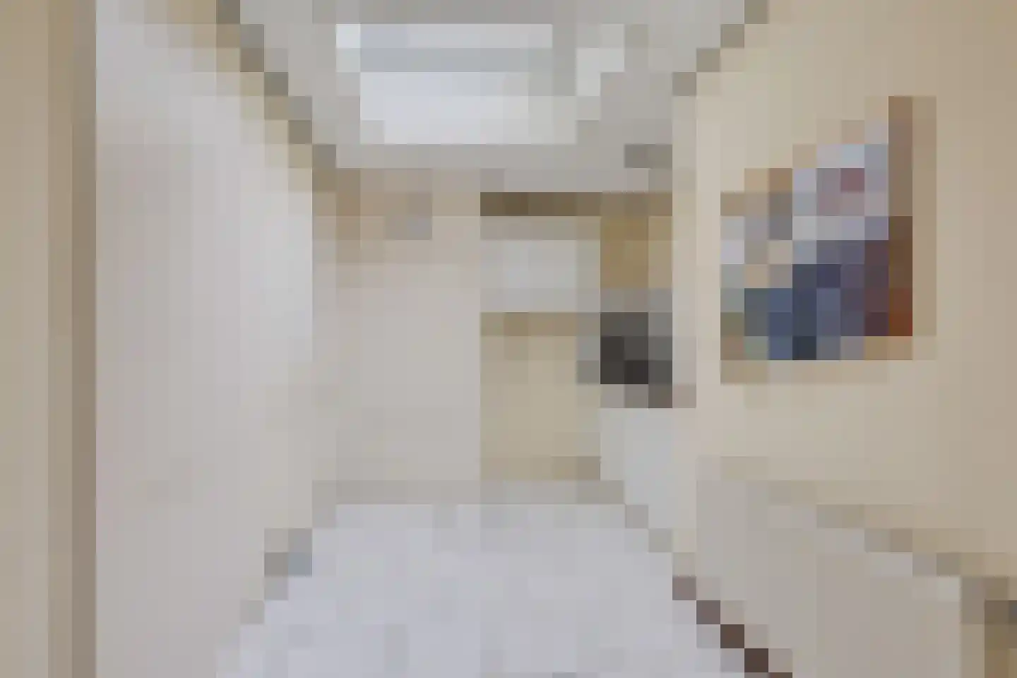 van Panhuysweg 1 B Tjerkwerd thumbnail 33