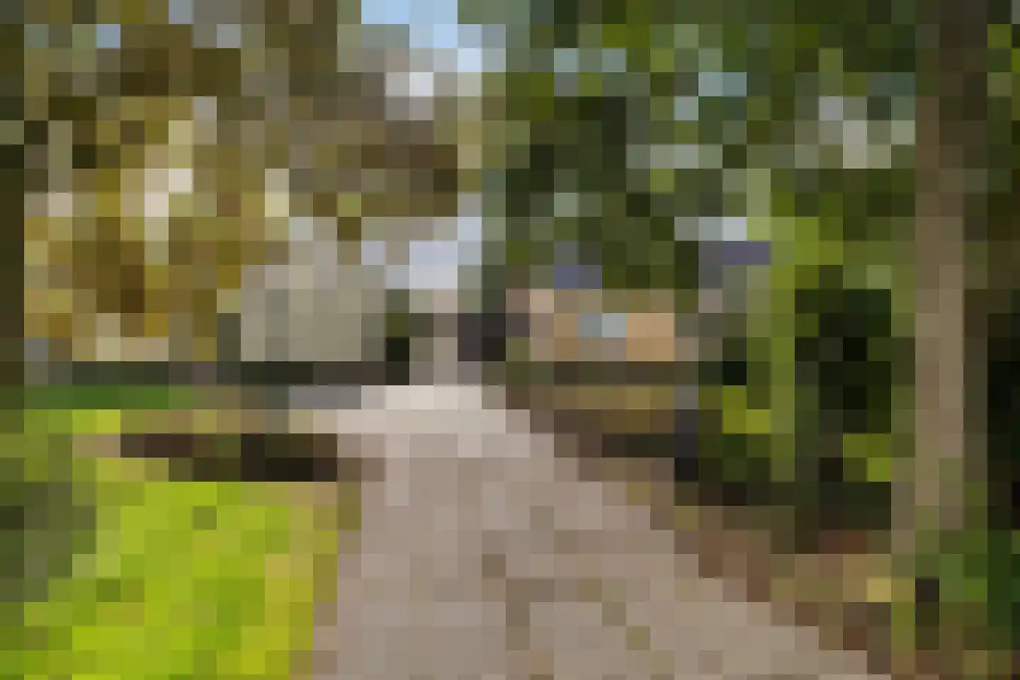 van Panhuysweg 1 B Tjerkwerd thumbnail 48