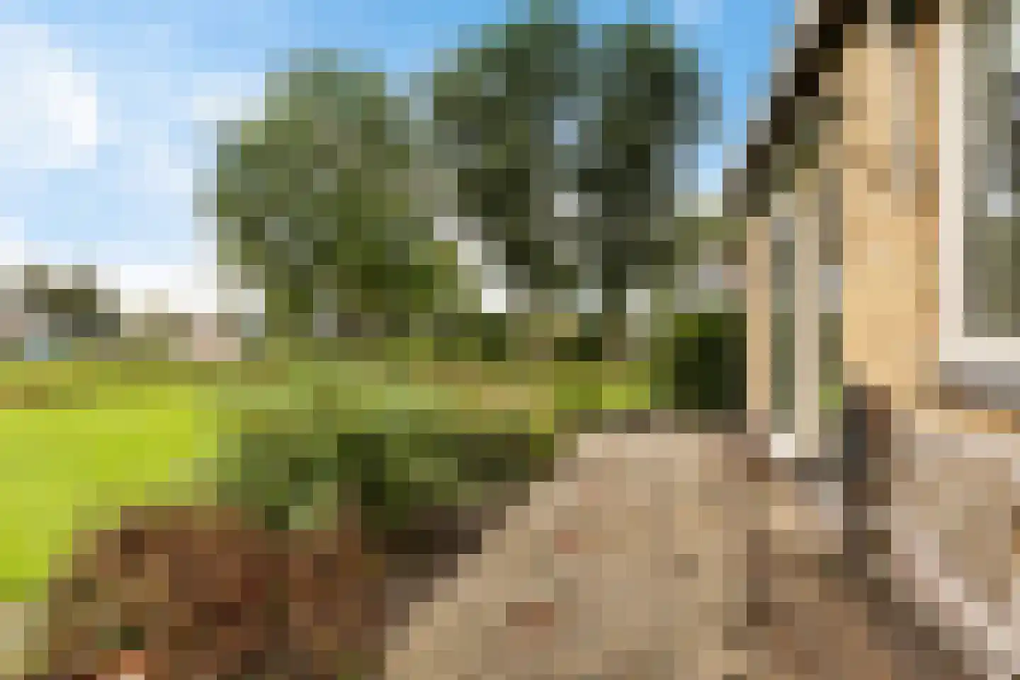 van Panhuysweg 1 B Tjerkwerd thumbnail 50
