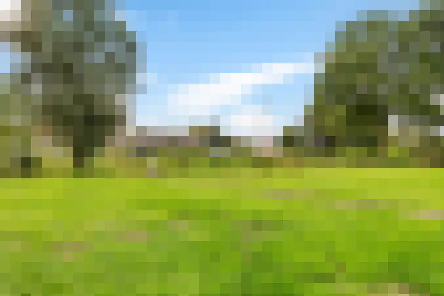 van Panhuysweg 1 B Tjerkwerd thumbnail 55