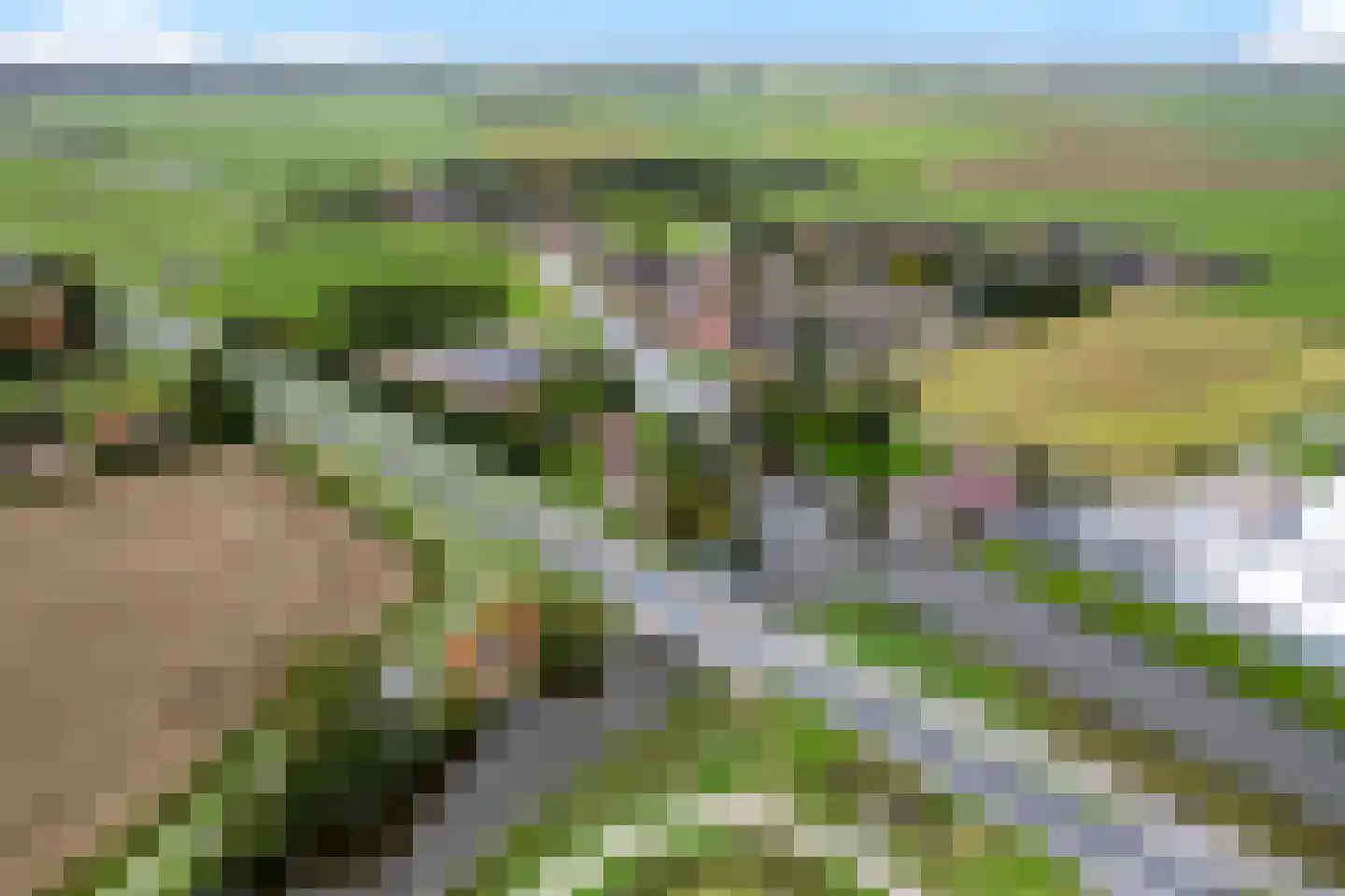 van Panhuysweg 1 B Tjerkwerd thumbnail 60