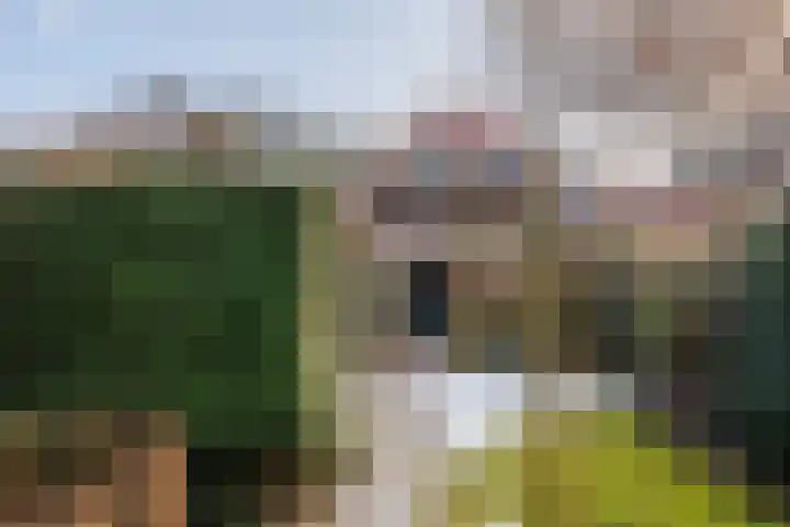 van Peltlaan 174 Nijmegen thumbnail 28