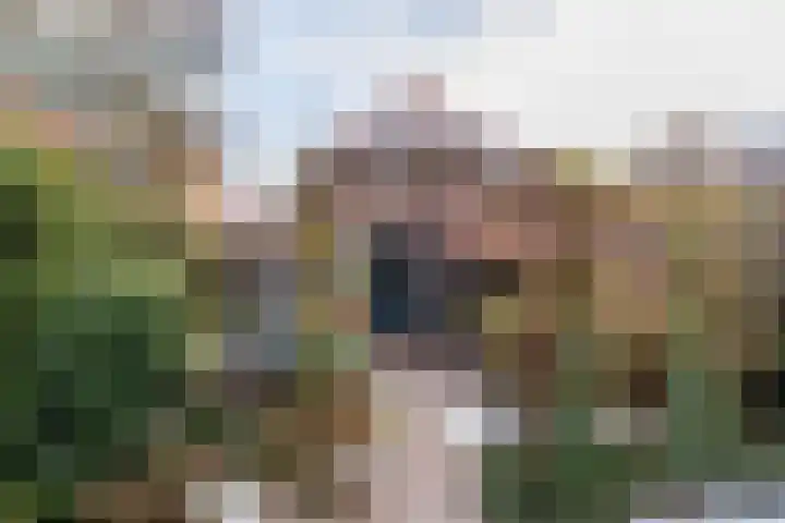 van Peltlaan 174 Nijmegen thumbnail 29