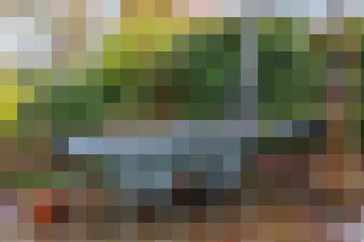 van Peltlaan 174 Nijmegen thumbnail 30