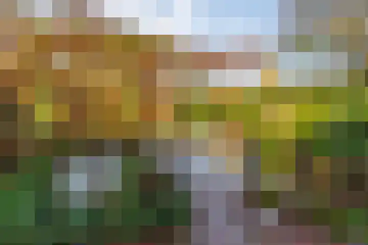 van Peltlaan 174 Nijmegen thumbnail 31