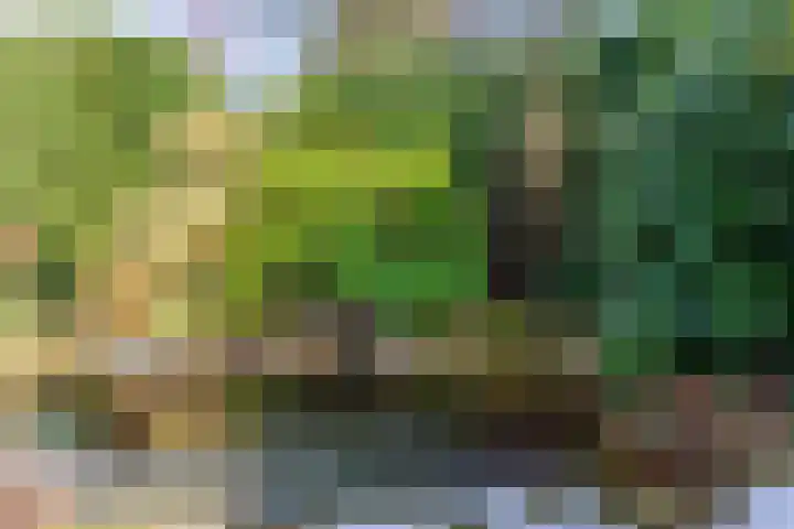 van Peltlaan 174 Nijmegen thumbnail 32