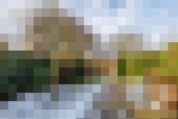van Peltlaan 174 Nijmegen thumbnail 33