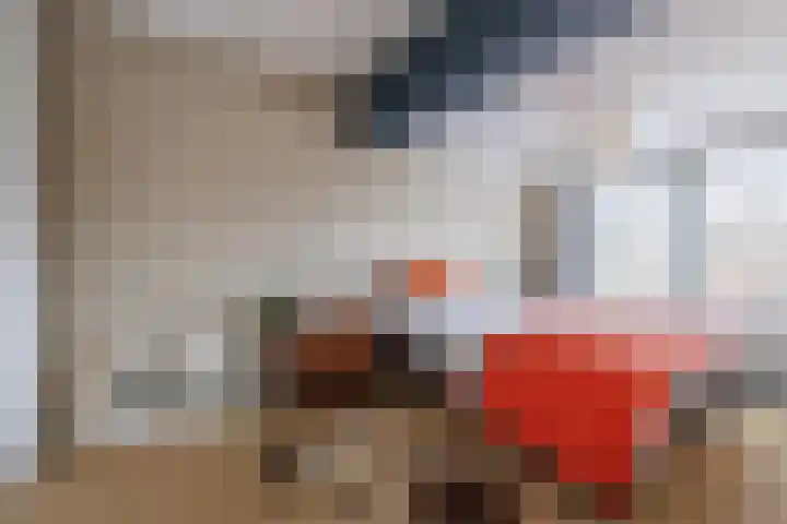van Peltlaan 174 Nijmegen thumbnail 39