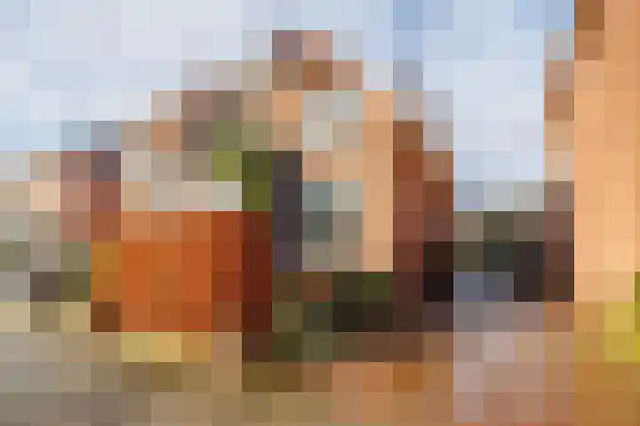 van Peltlaan 174 Nijmegen thumbnail 5
