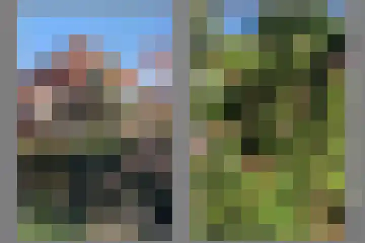 van Peltlaan 174 Nijmegen thumbnail 59