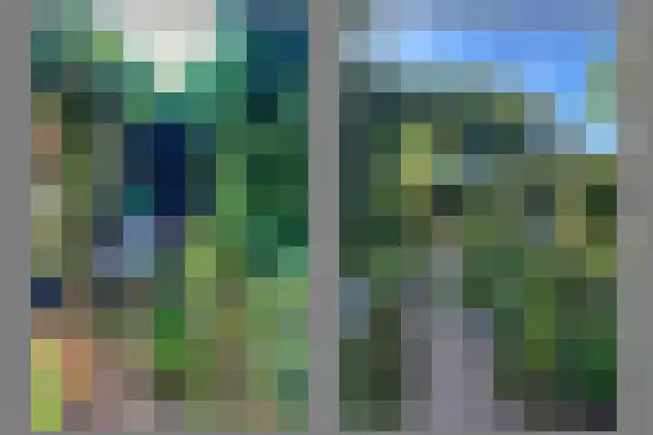 van Peltlaan 174 Nijmegen thumbnail 60