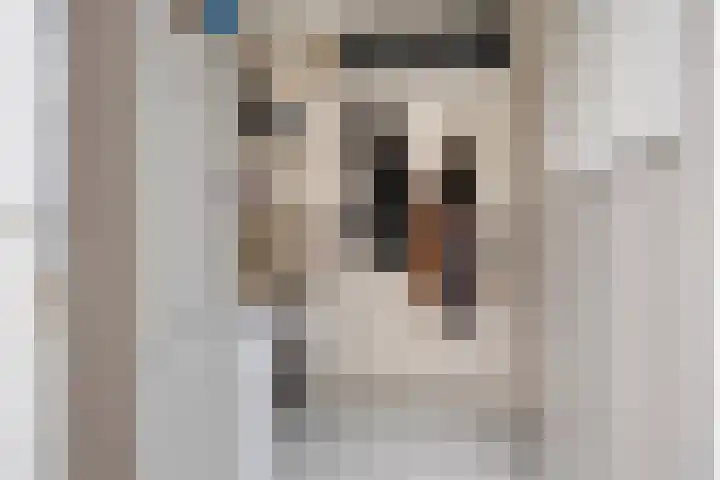 van Peltlaan 196 Nijmegen thumbnail 18