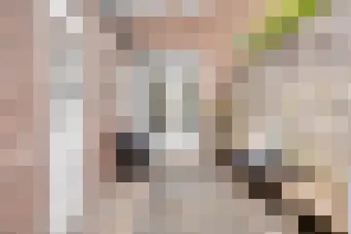 van Peltlaan 196 Nijmegen thumbnail 30