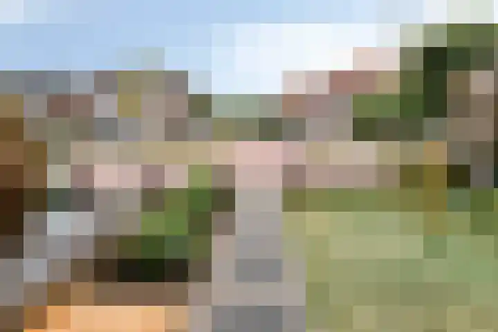 van Peltlaan 196 Nijmegen thumbnail 8