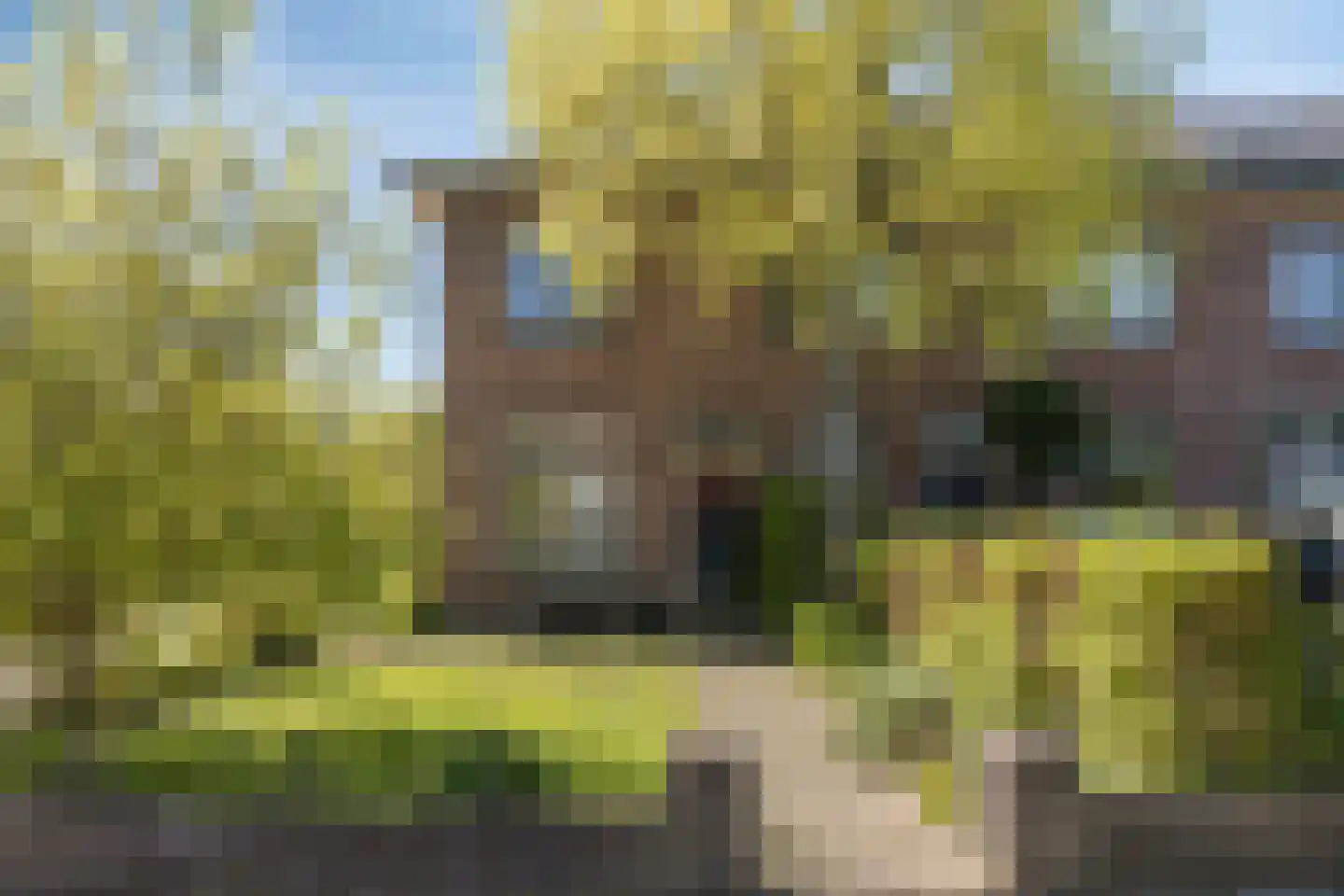 van Peltlaan 204 in Nijmegen