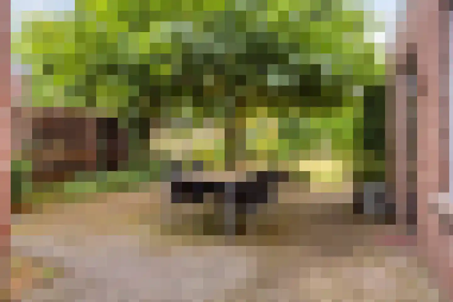 van Peltlaan 212 Nijmegen thumbnail 25