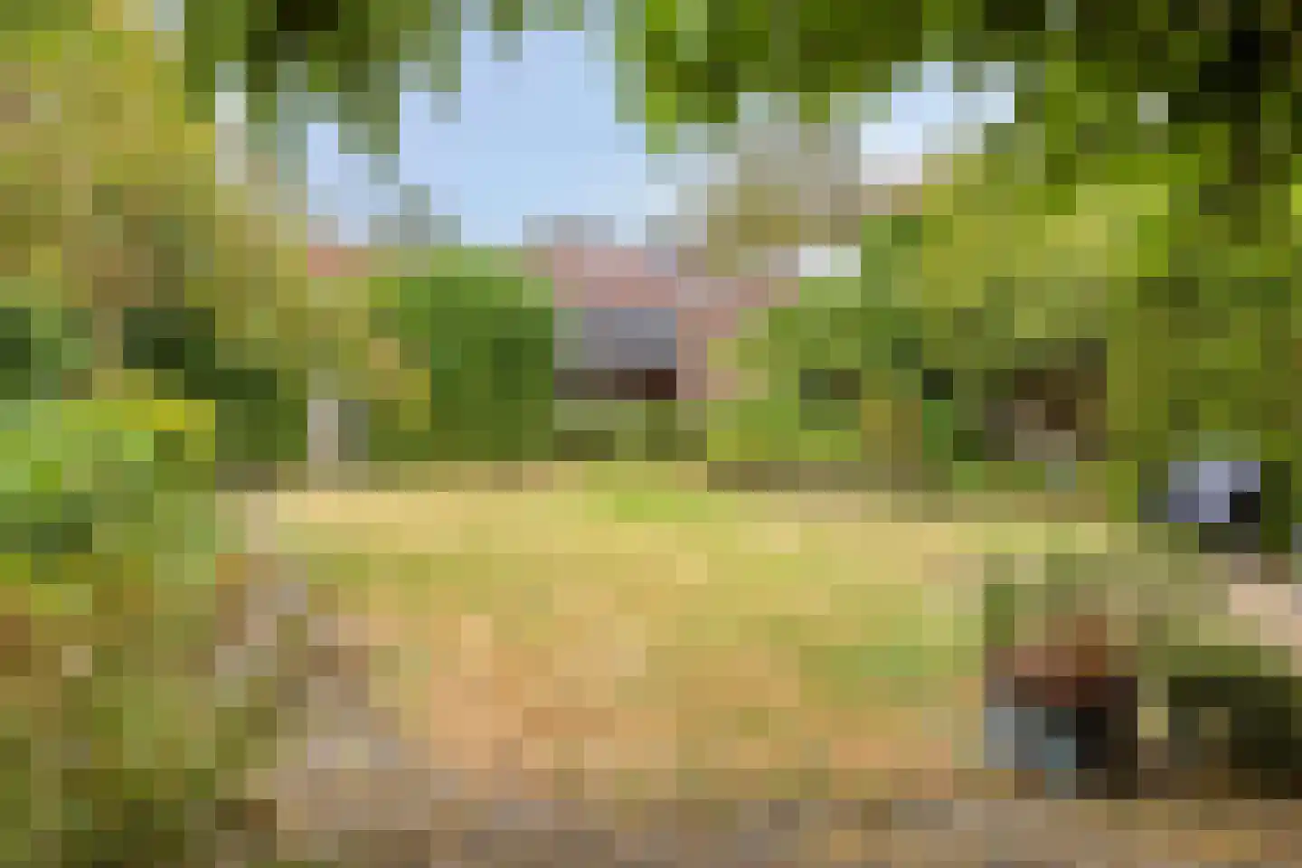 van Peltlaan 212 Nijmegen thumbnail 27
