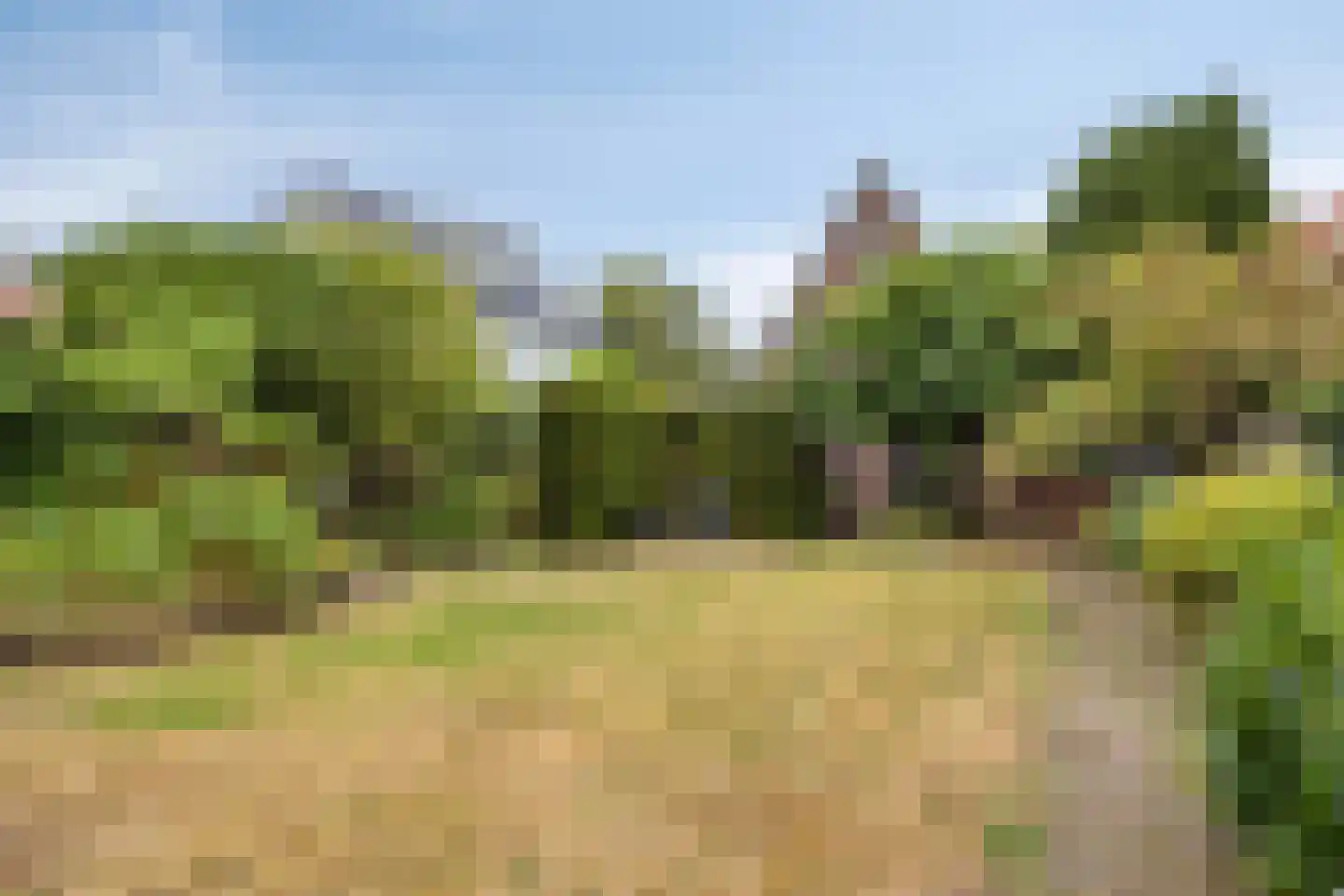 van Peltlaan 212 Nijmegen thumbnail 28