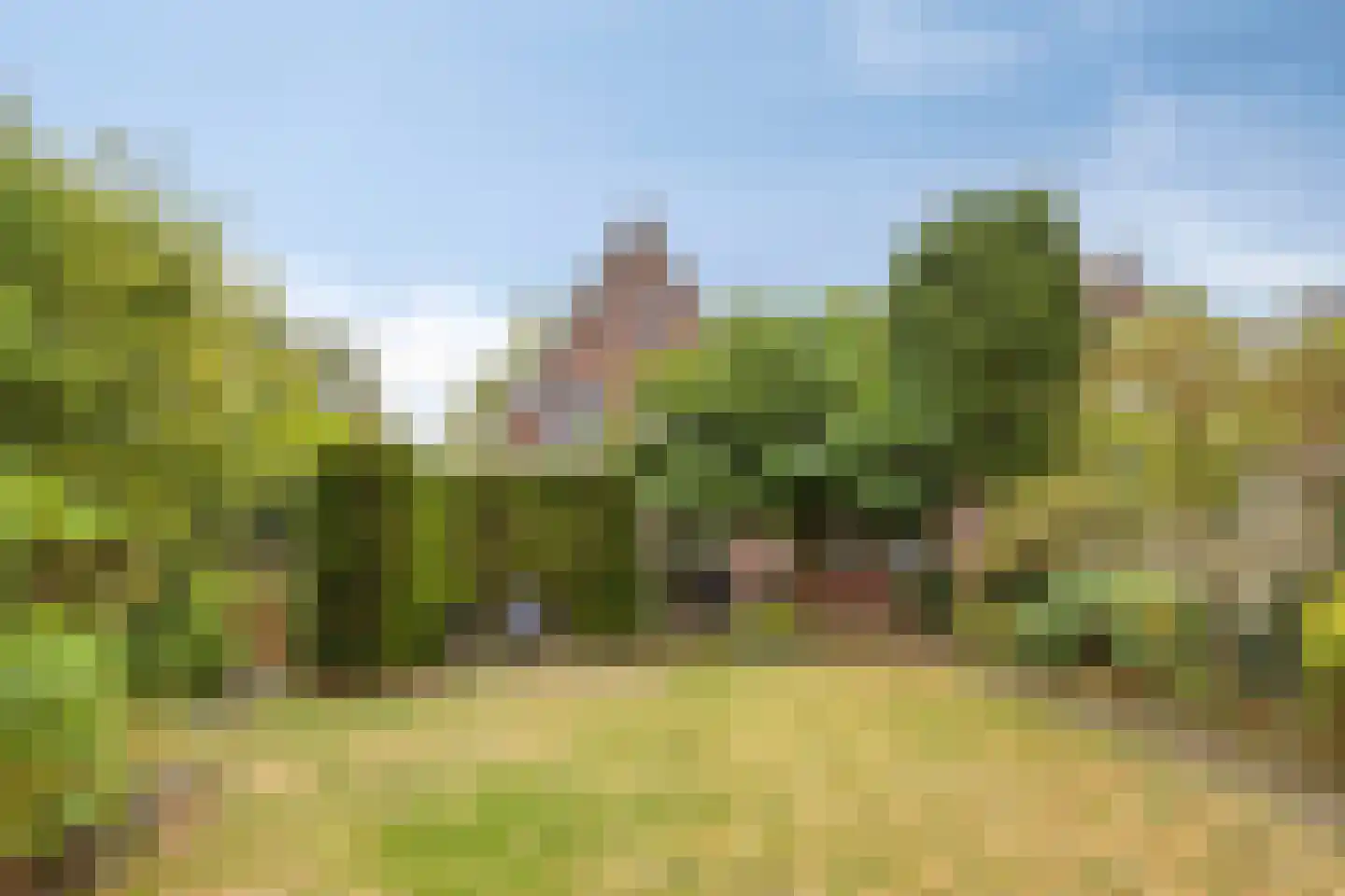 van Peltlaan 212 Nijmegen thumbnail 29