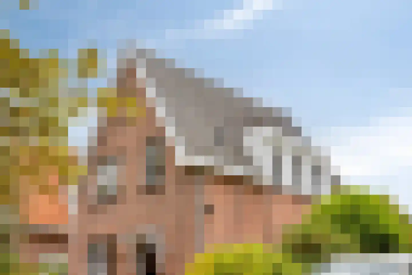 van Peltlaan 212 Nijmegen thumbnail 7
