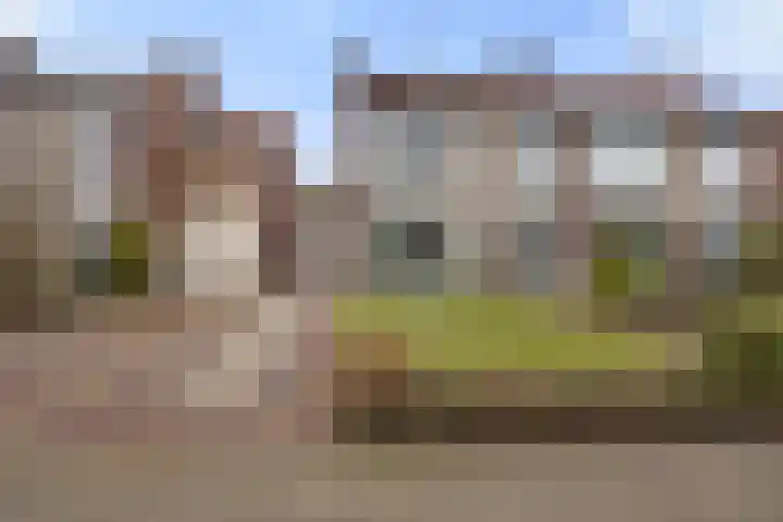 van Peltlaan 222 Nijmegen foto 2