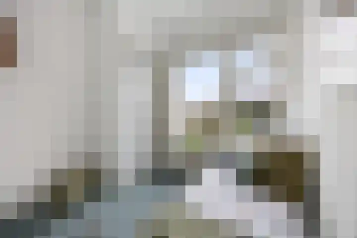 van Peltlaan 222 Nijmegen thumbnail 22