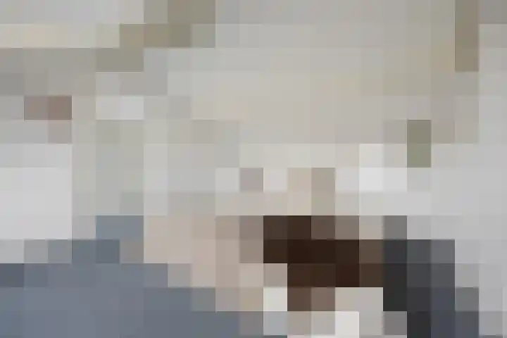 van Peltlaan 222 Nijmegen thumbnail 36