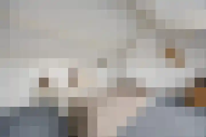 van Peltlaan 222 Nijmegen thumbnail 37