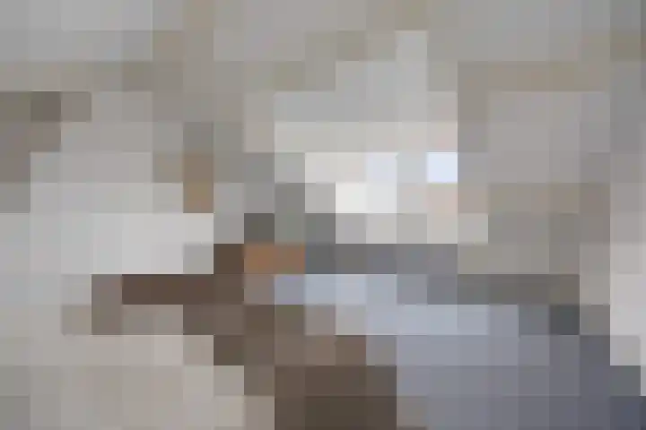 van Peltlaan 222 Nijmegen thumbnail 38