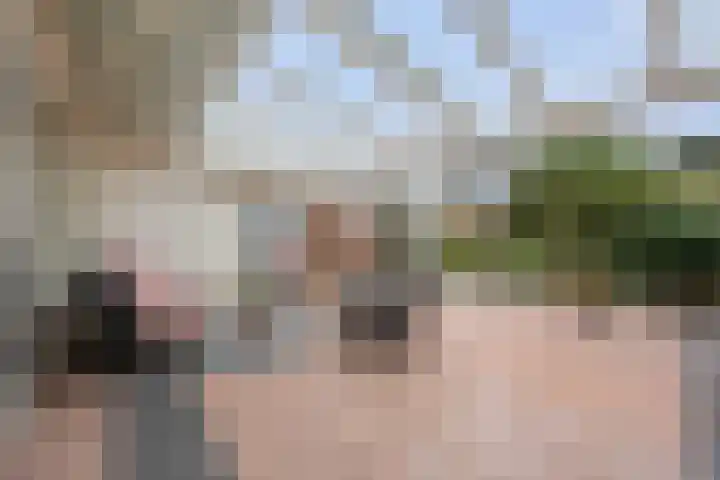 van Peltlaan 222 Nijmegen thumbnail 41