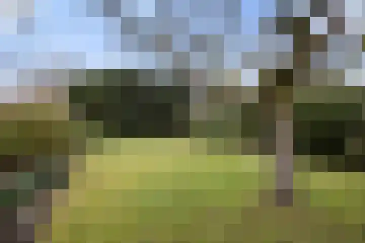 van Peltlaan 222 Nijmegen thumbnail 45