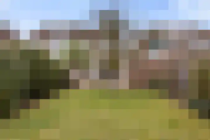 van Peltlaan 222 Nijmegen thumbnail 46