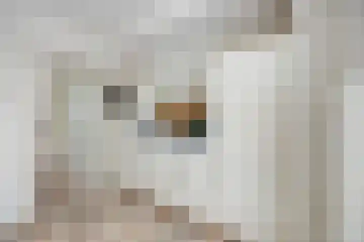 van Peltlaan 222 Nijmegen thumbnail 8