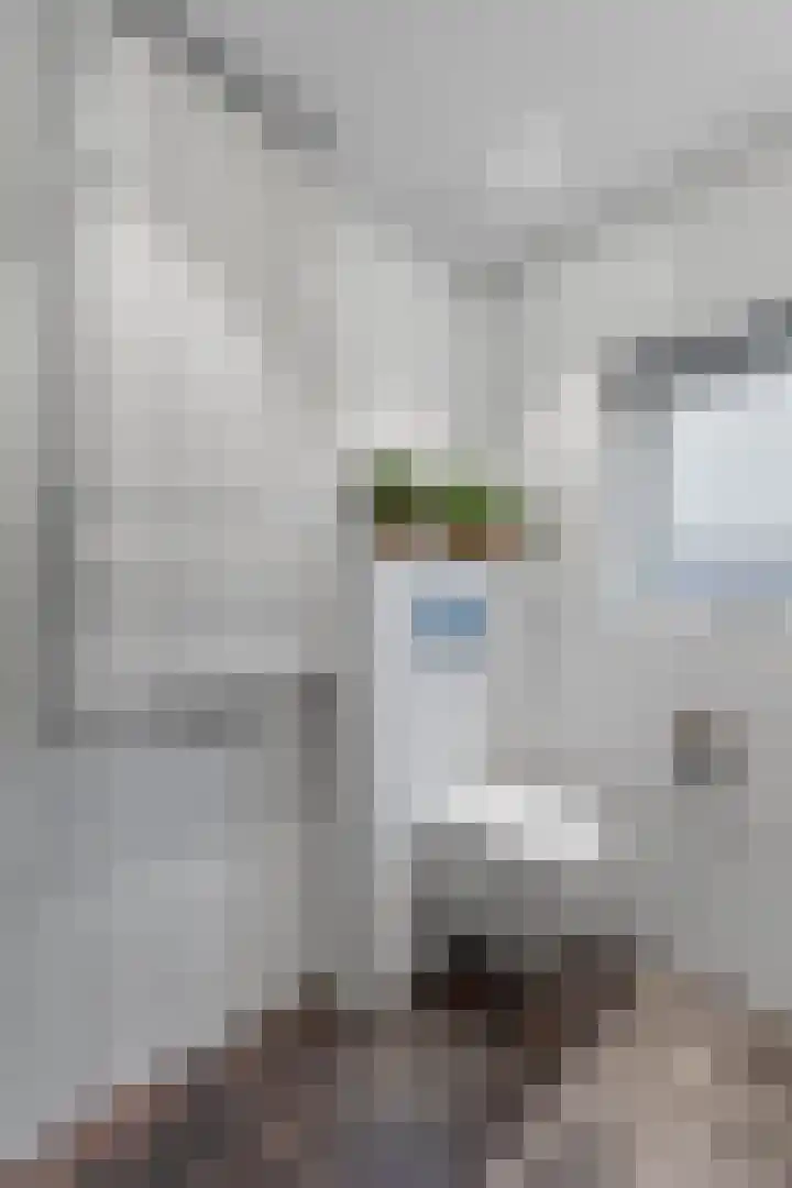 van Peltlaan 248 Nijmegen thumbnail 33