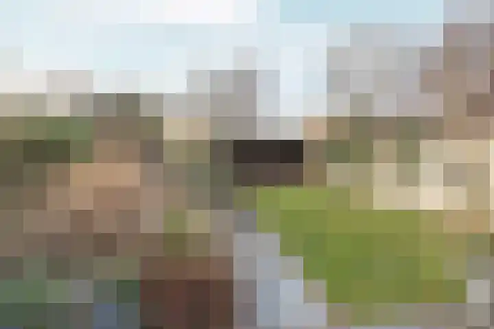 van Peltlaan 248 Nijmegen thumbnail 43