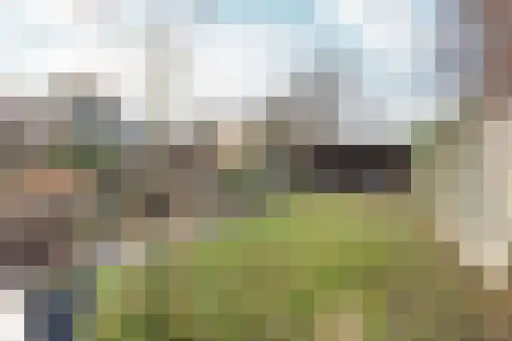 van Peltlaan 248 Nijmegen thumbnail 45