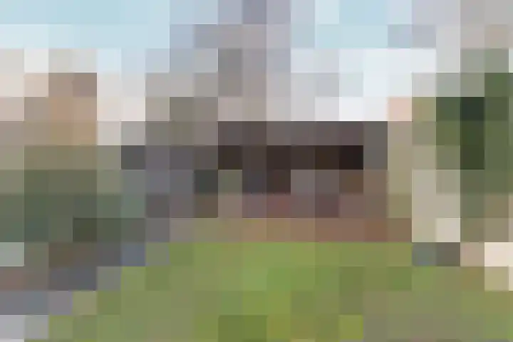 van Peltlaan 248 Nijmegen thumbnail 46