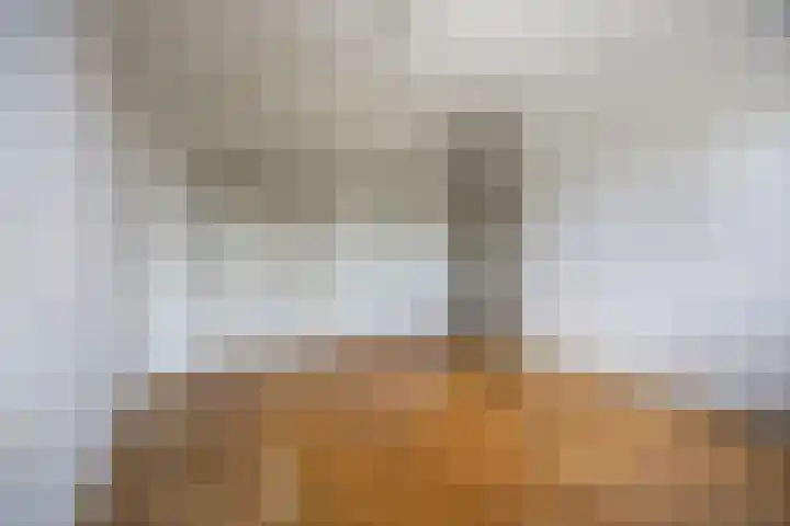 van Peltlaan 250 Nijmegen thumbnail 19