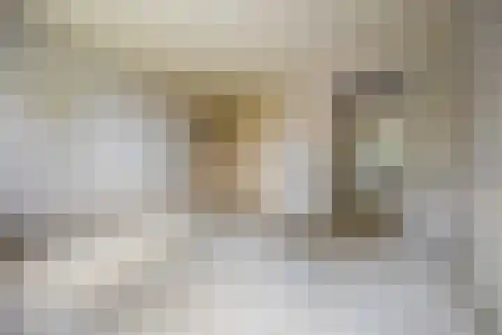 van Peltlaan 250 Nijmegen thumbnail 21